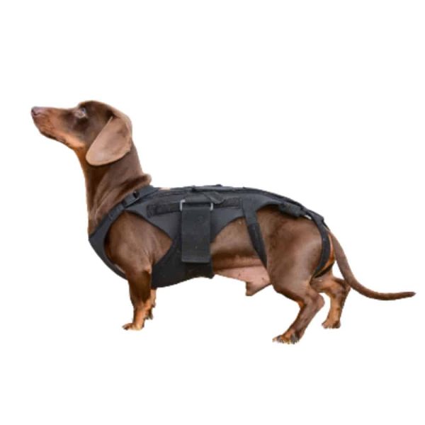 Melworx Pets Canine Back Brace - Medium